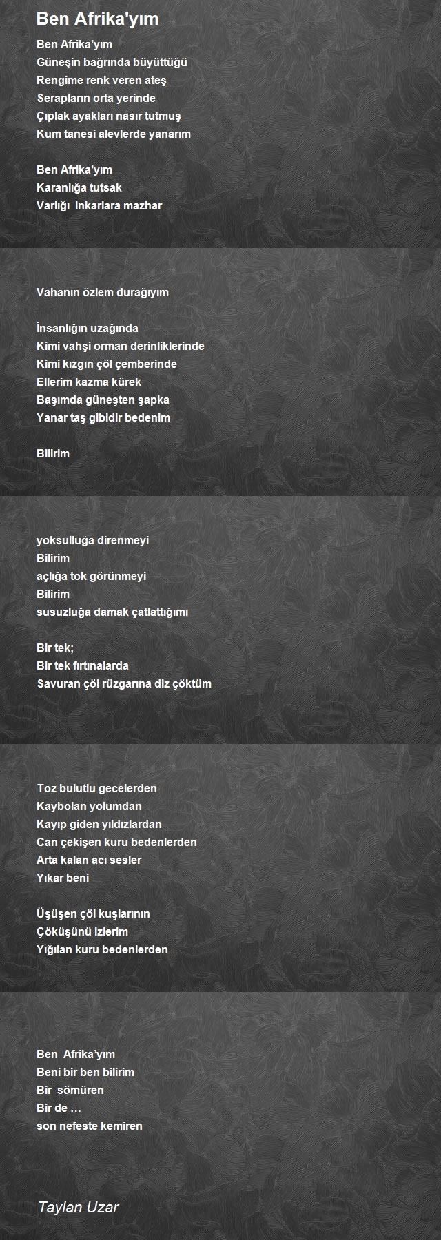 Taylan Uzar