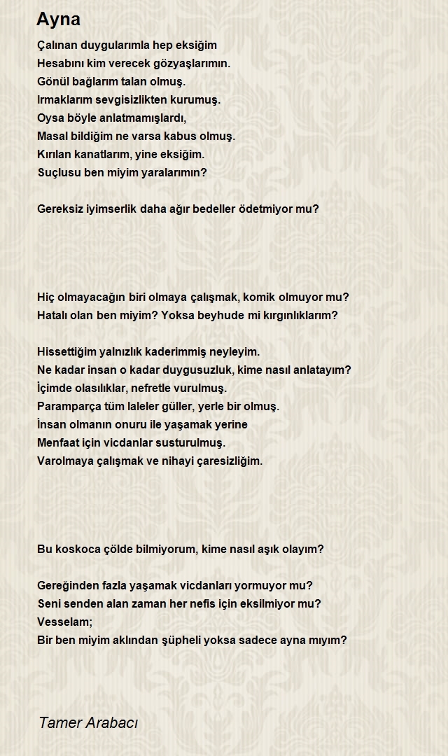 Tamer Arabacı