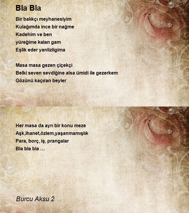 Burcu Aksu 2