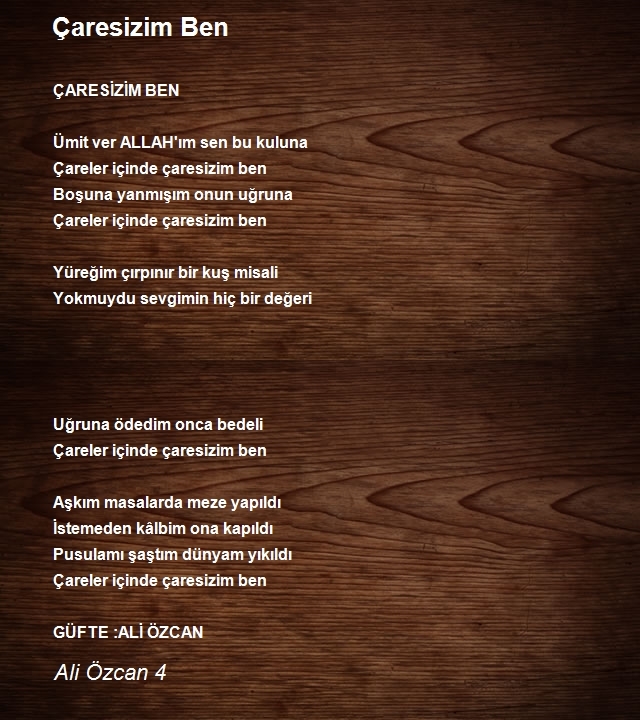 Ali Özcan 4