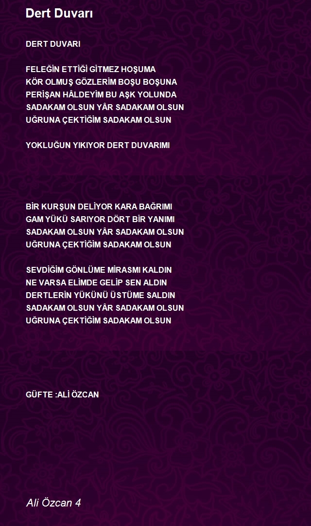 Ali Özcan 4