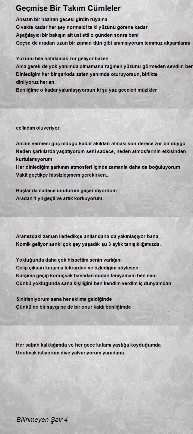 Mehmet Soylu 2