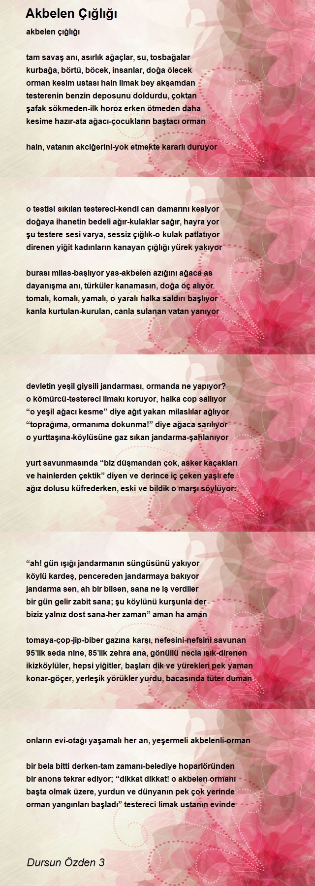 Dursun Özden 3