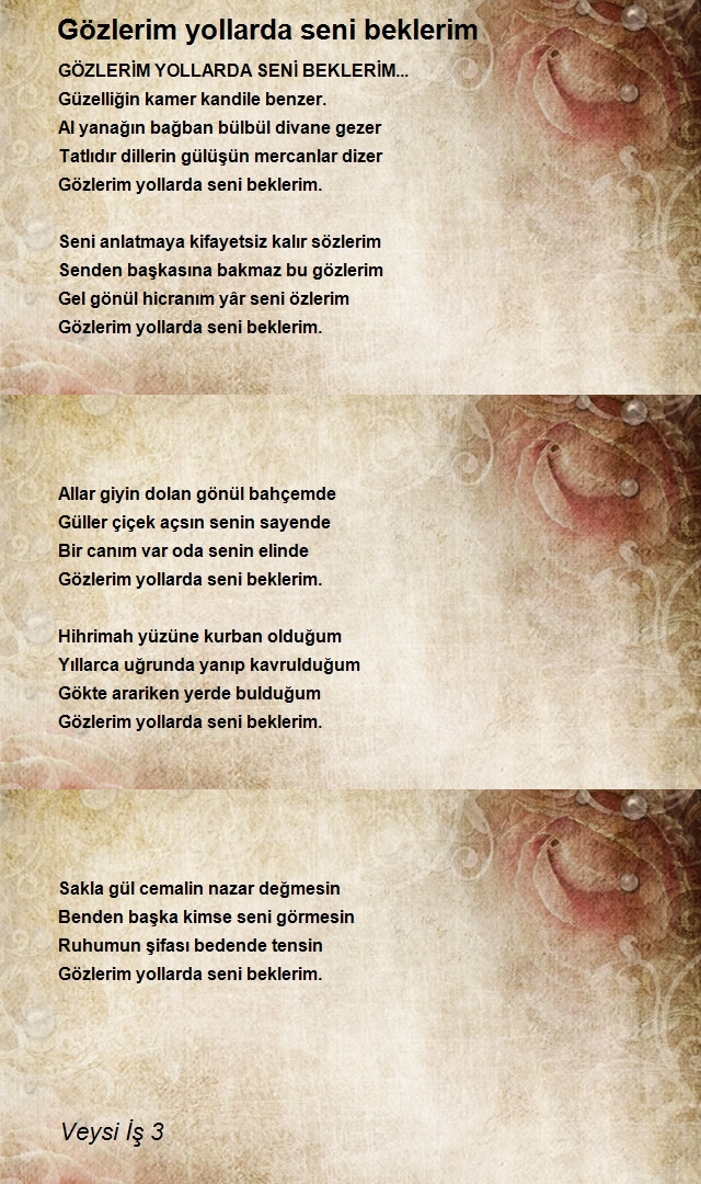 Veysi İş 3