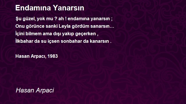 Hasan Arpaci