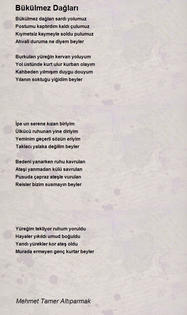 Mehmet Tamer Altıparmak