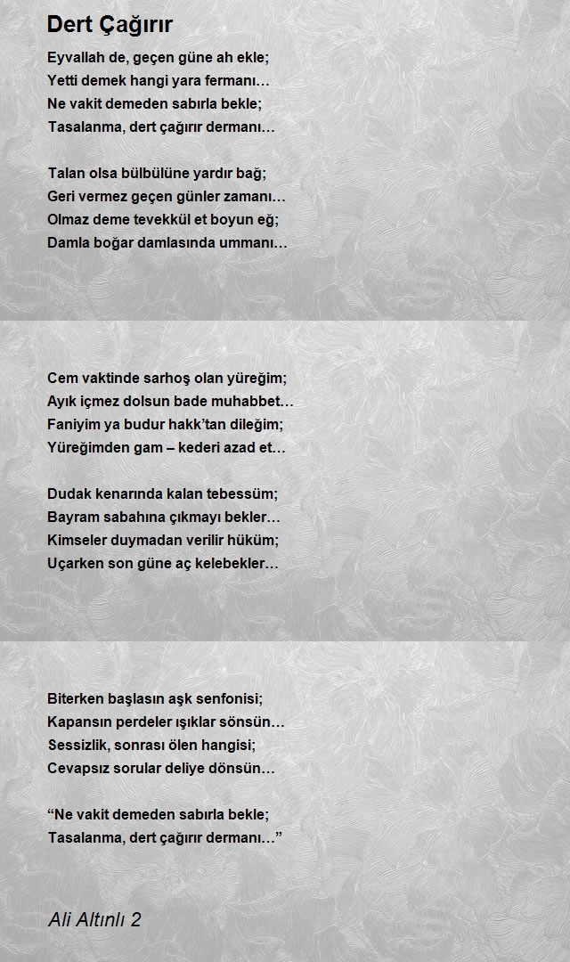 Ali Altınlı 2