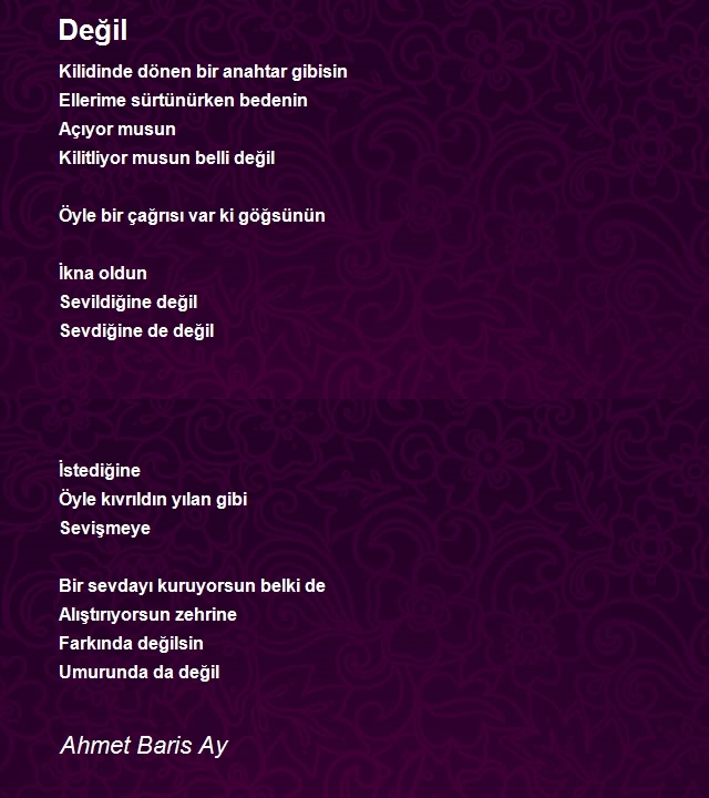 Ahmet Baris Ay