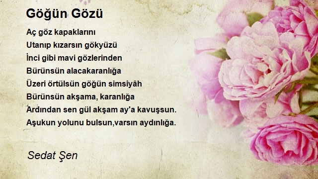 Sedat Şen