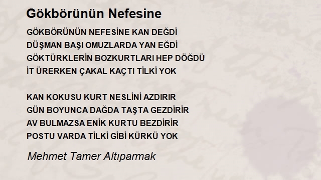 Mehmet Tamer Altıparmak