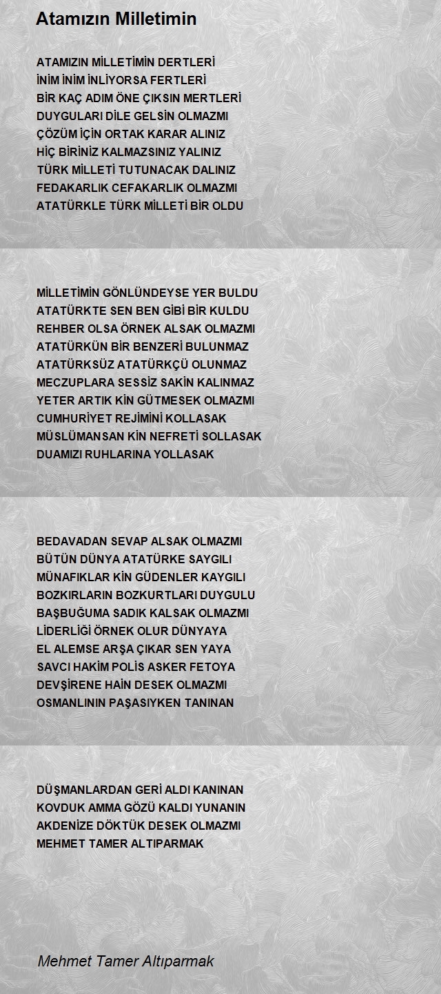 Mehmet Tamer Altıparmak