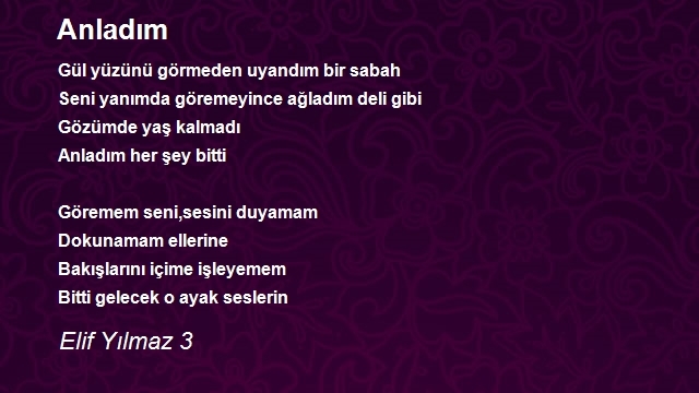 Elif Yılmaz 3