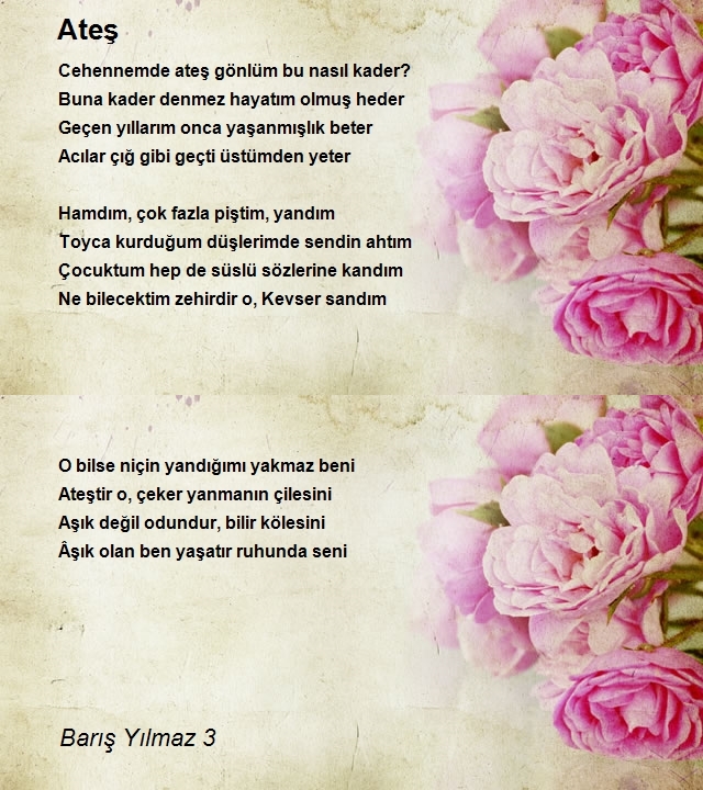 Barış Yılmaz 3
