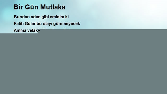 Fatih Güler