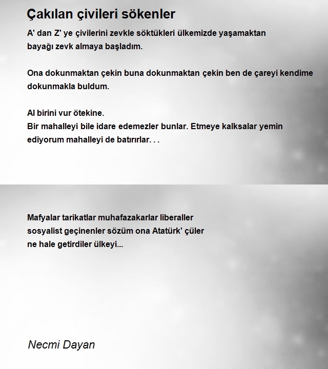 Necmi Dayan