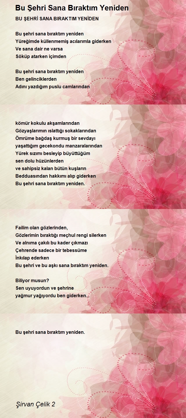 Şirvan Çelik 2