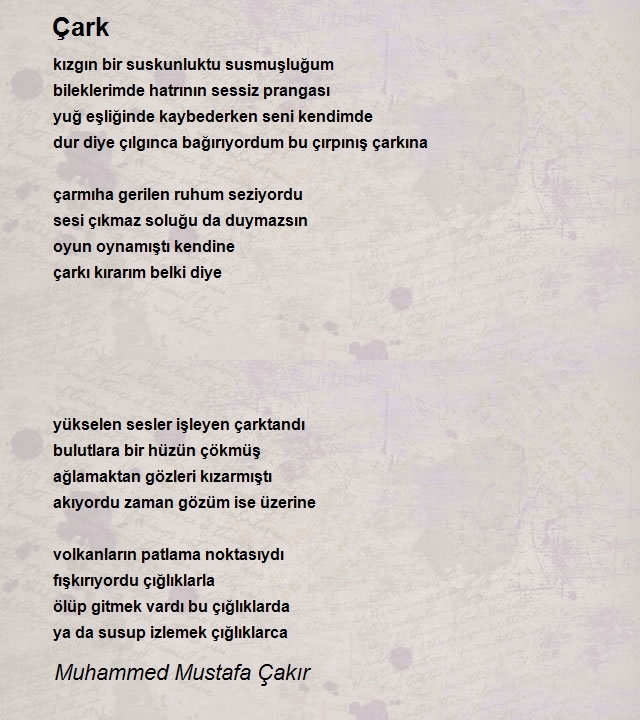 Muhammed Mustafa Çakır
