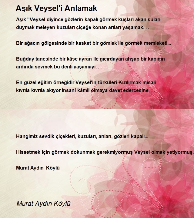 Murat Aydın Köylü