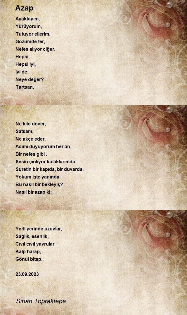 Sinan Topraktepe