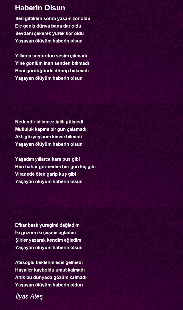 İlyas Ateş