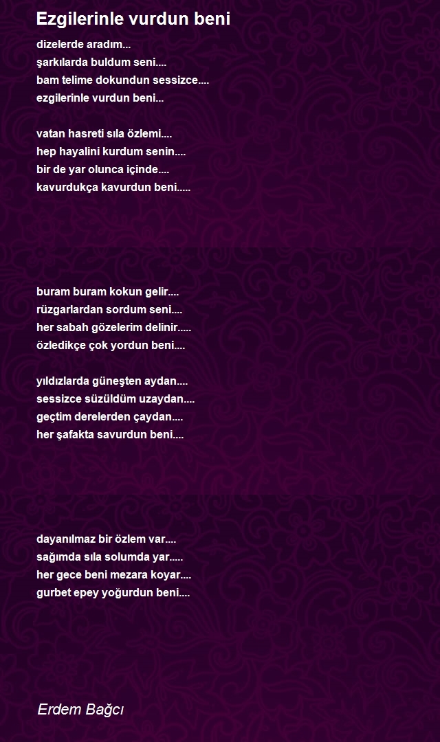 Erdem Bağcı
