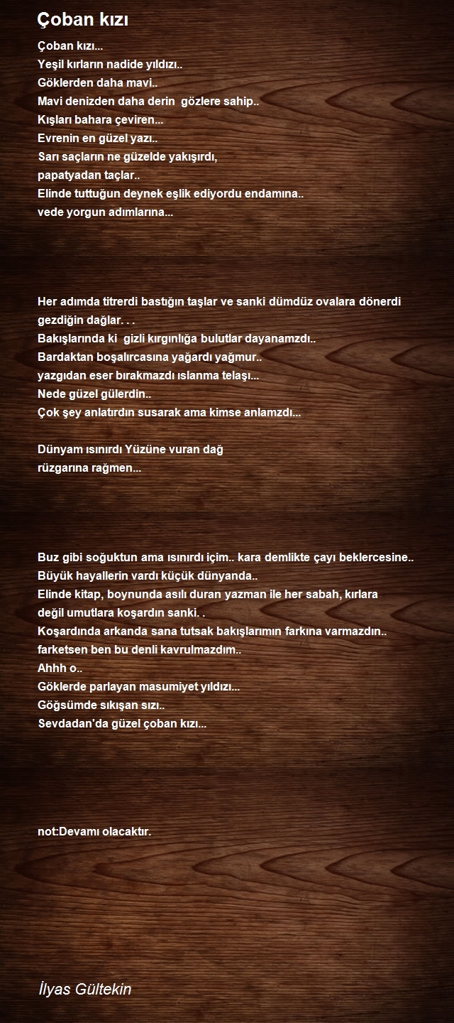 İlyas Gültekin Sevdayelleri