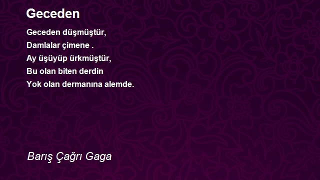 Barış Çağrı Gaga