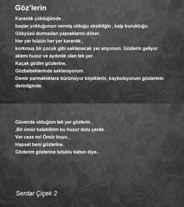 Serdar Çiçek 2