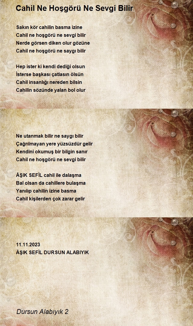 Dursun Alabıyık 2