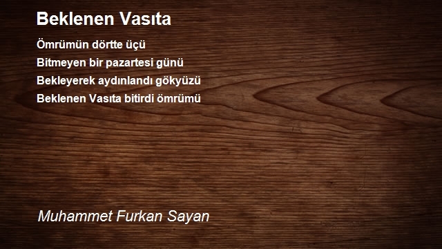 Muhammet Furkan Sayan