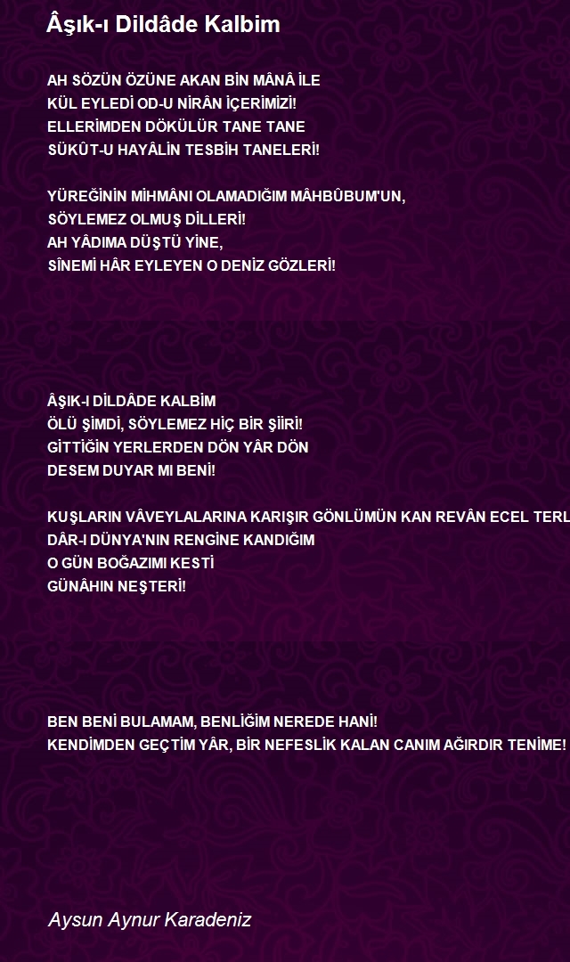 Şiirler Şehrim