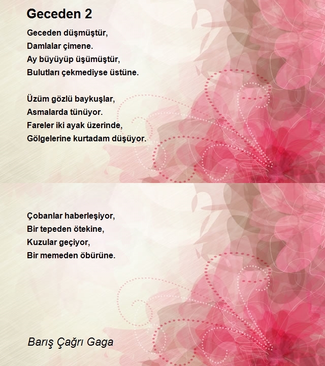 Barış Çağrı Gaga