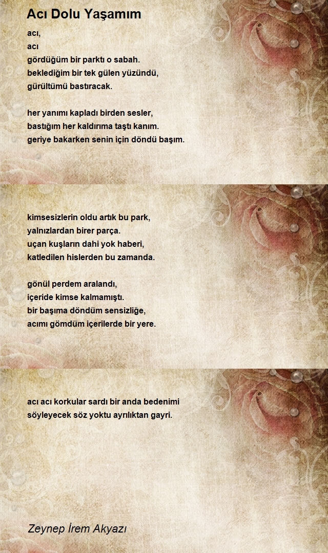 Zeynep İrem Akyazı