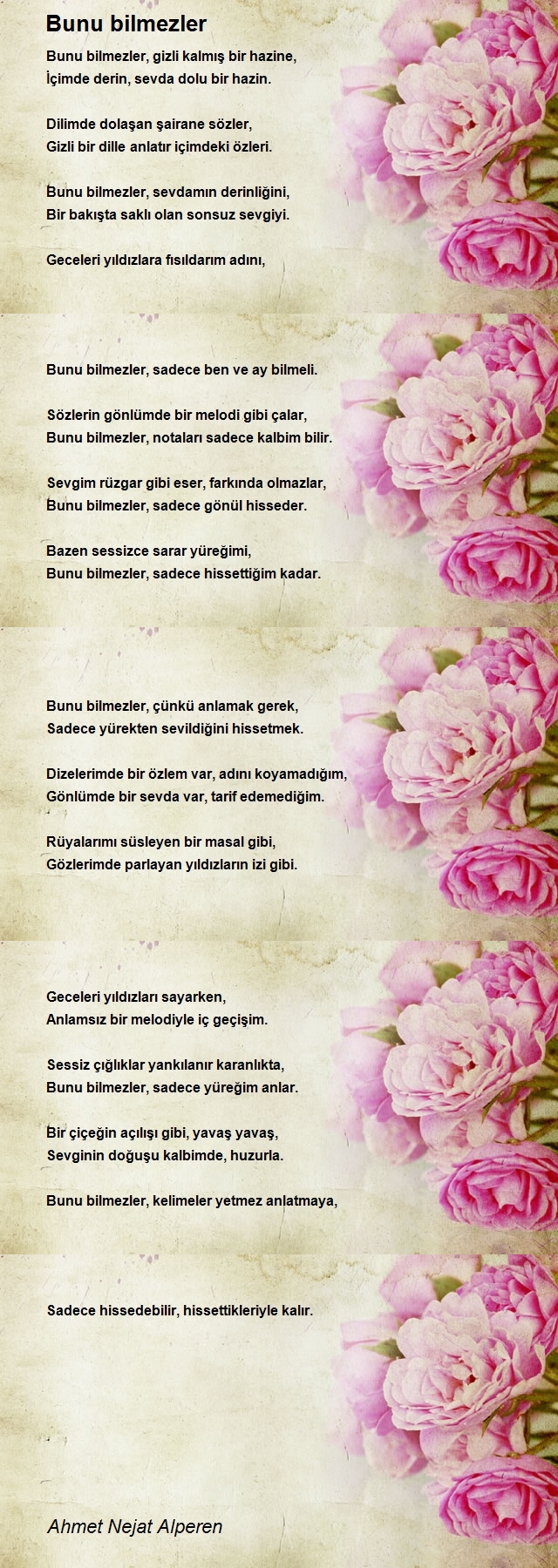 Ahmet Nejat Alperen