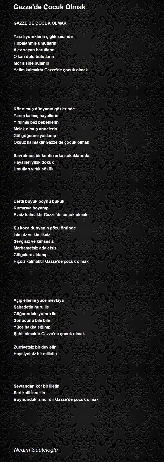 Nedim Saatcioğlu