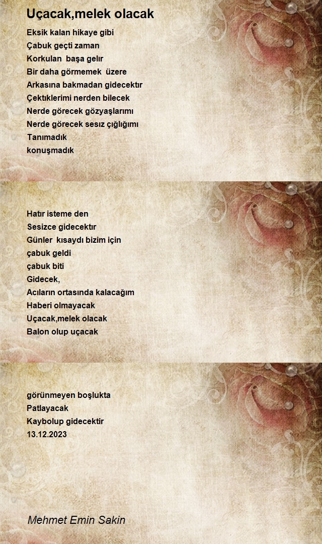 Me Saki