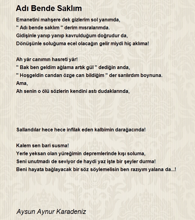 Şiirler Şehrim
