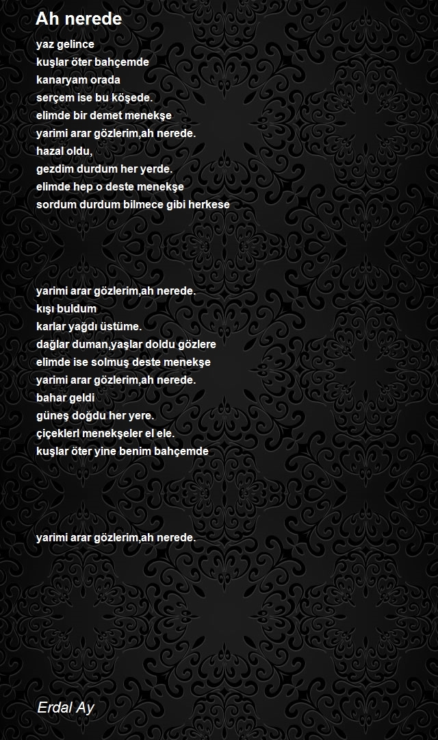 Erdal Ay