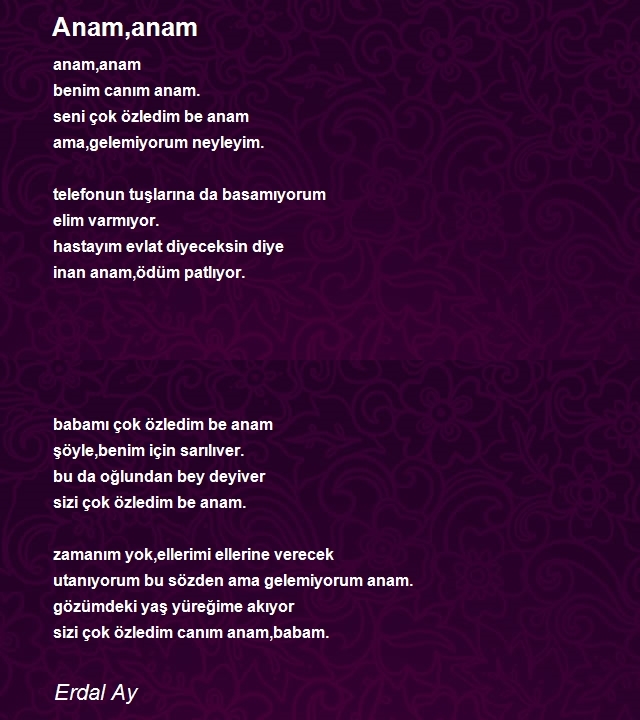 Erdal Ay