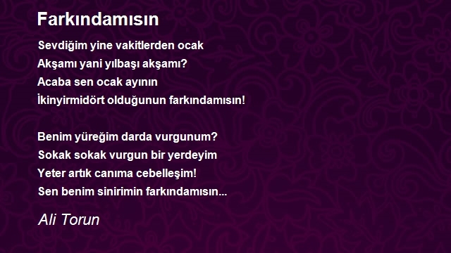 Ali Torun