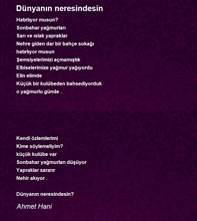 Ahmet Hani