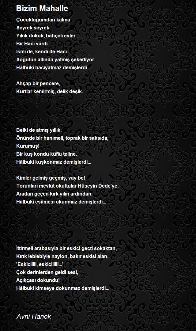 Avni Hanok