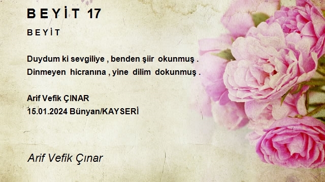 Arif Vefik Çınar