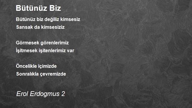 Erol Erdogmus 2