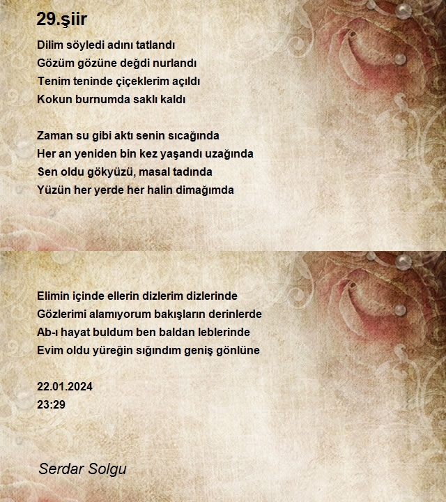 Serdar Solgu