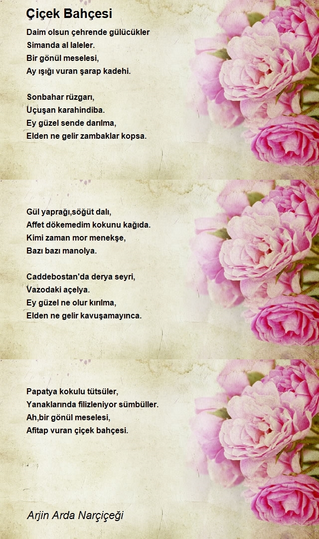 Arjin Arda Narçiçeği