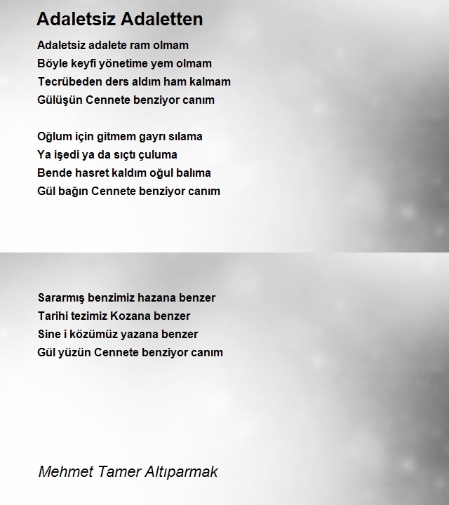 Mehmet Tamer Altıparmak