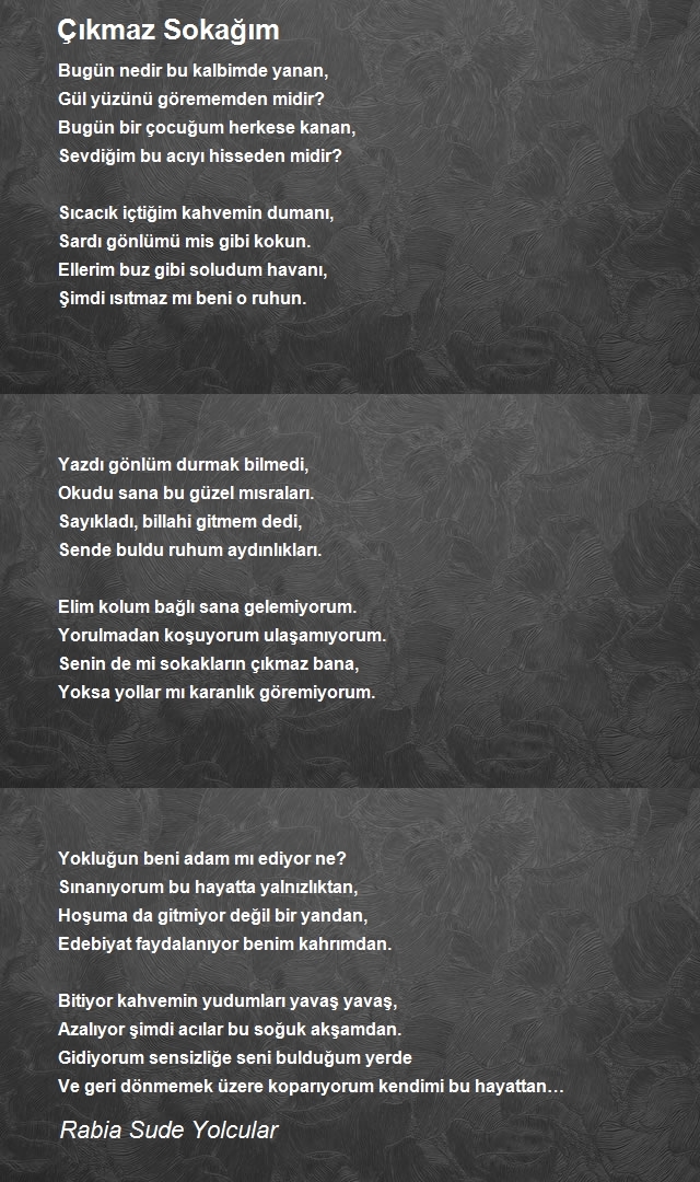 Rabia Sude Yolcular