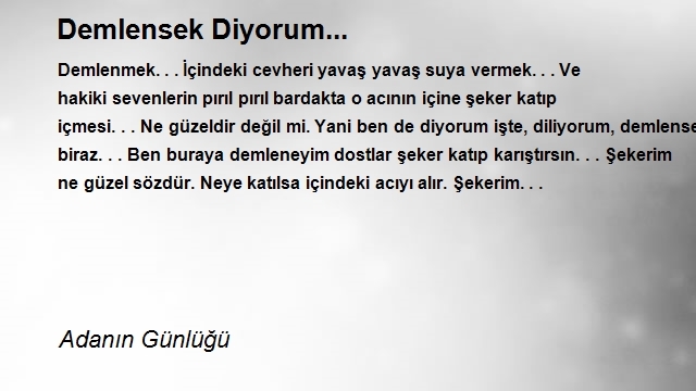 Adanın Günlüğü