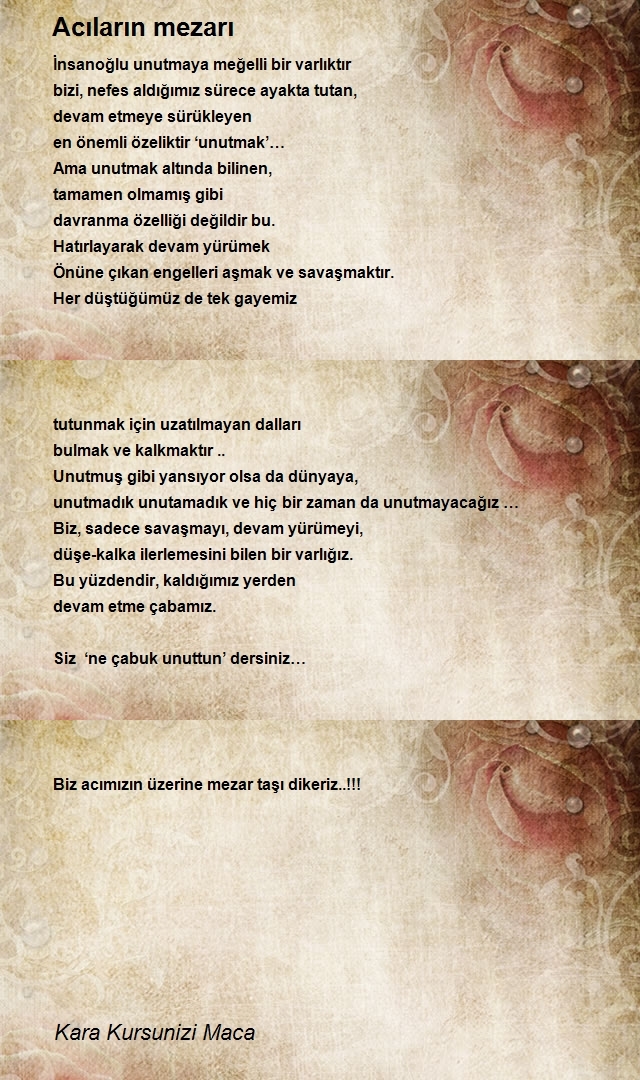 Kara Kursunizi Maca